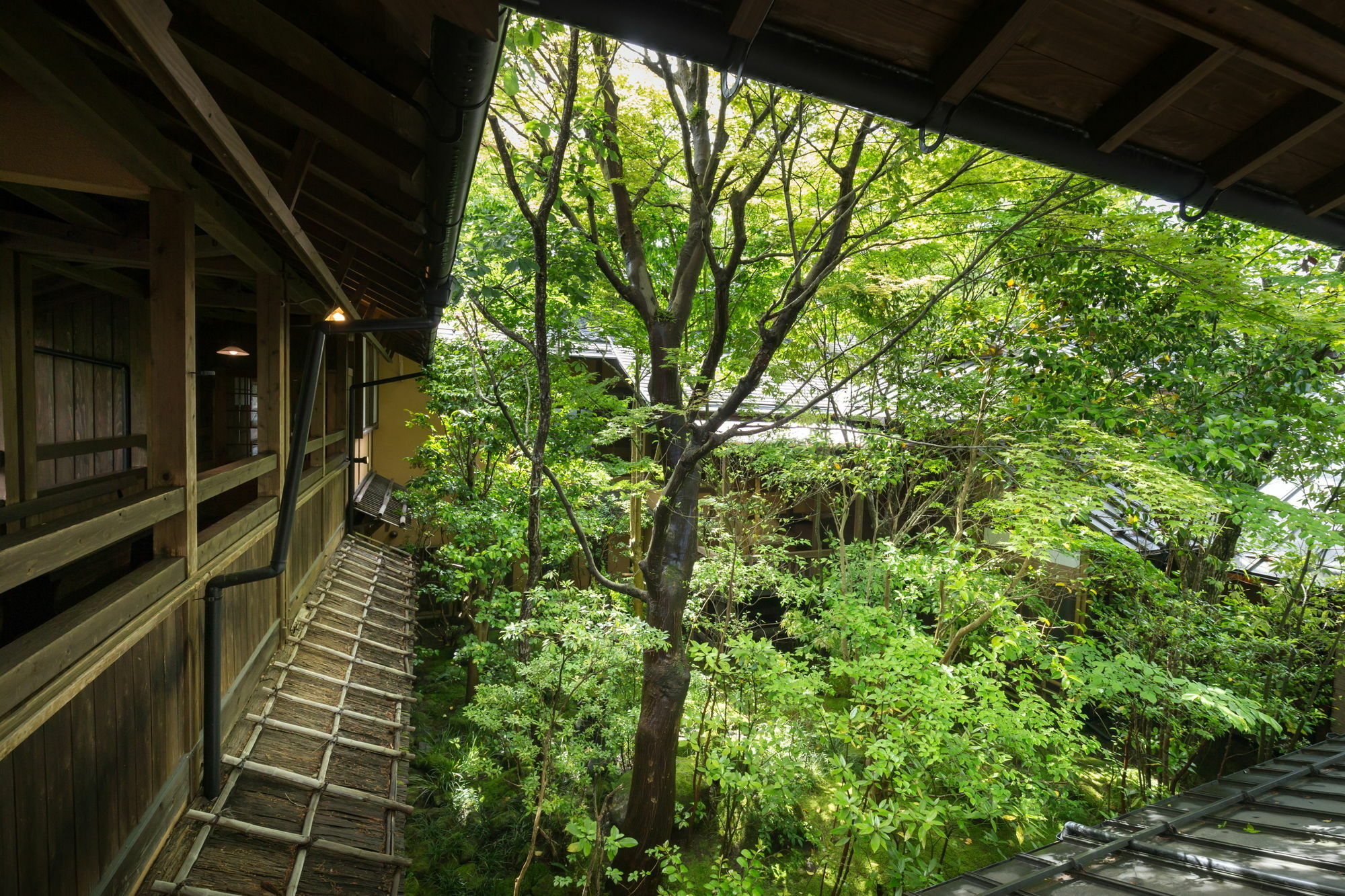 Kurokawa Onsen Oyado Noshiyu Hotell Minamioguni Eksteriør bilde