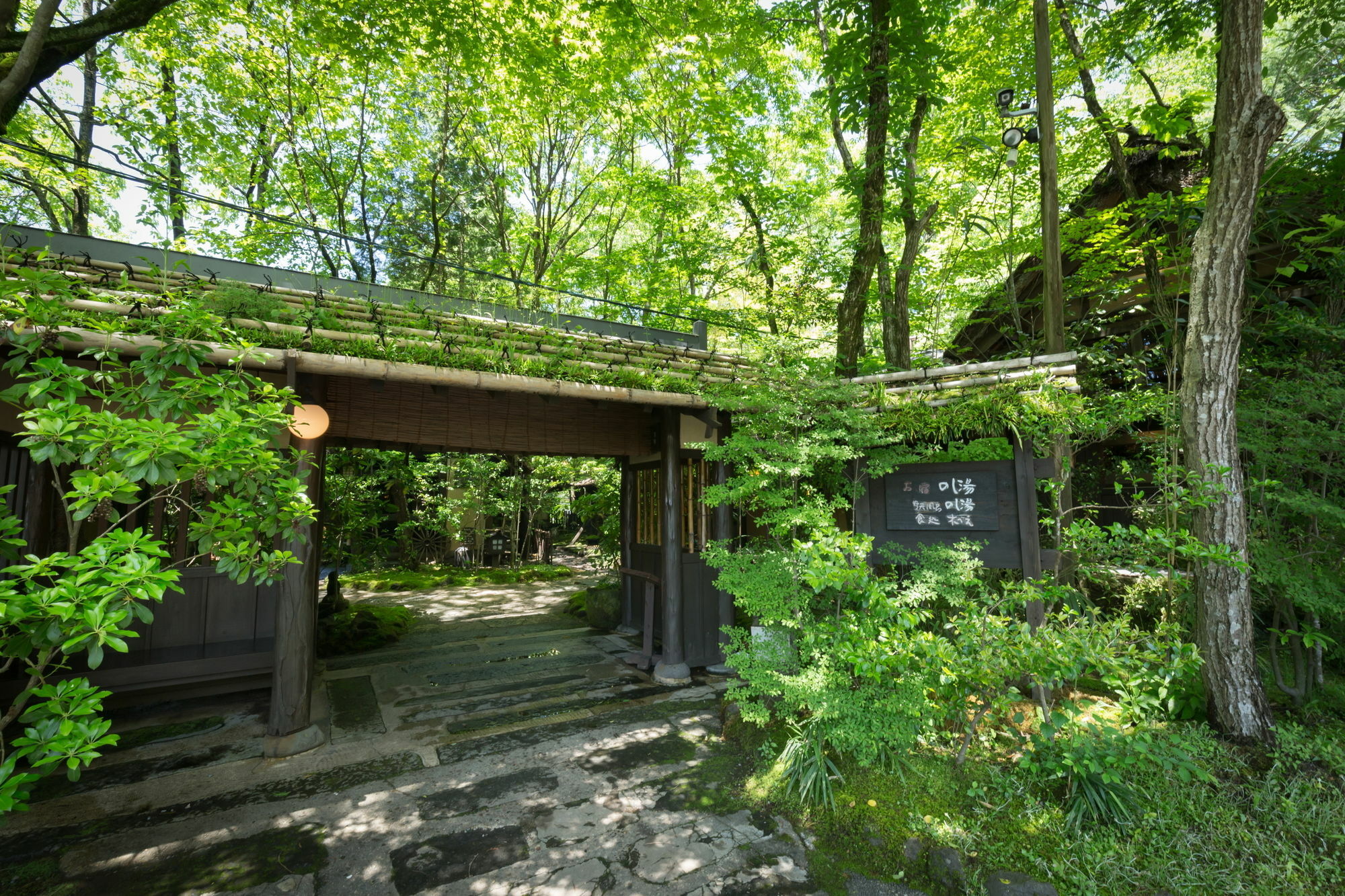 Kurokawa Onsen Oyado Noshiyu Hotell Minamioguni Eksteriør bilde